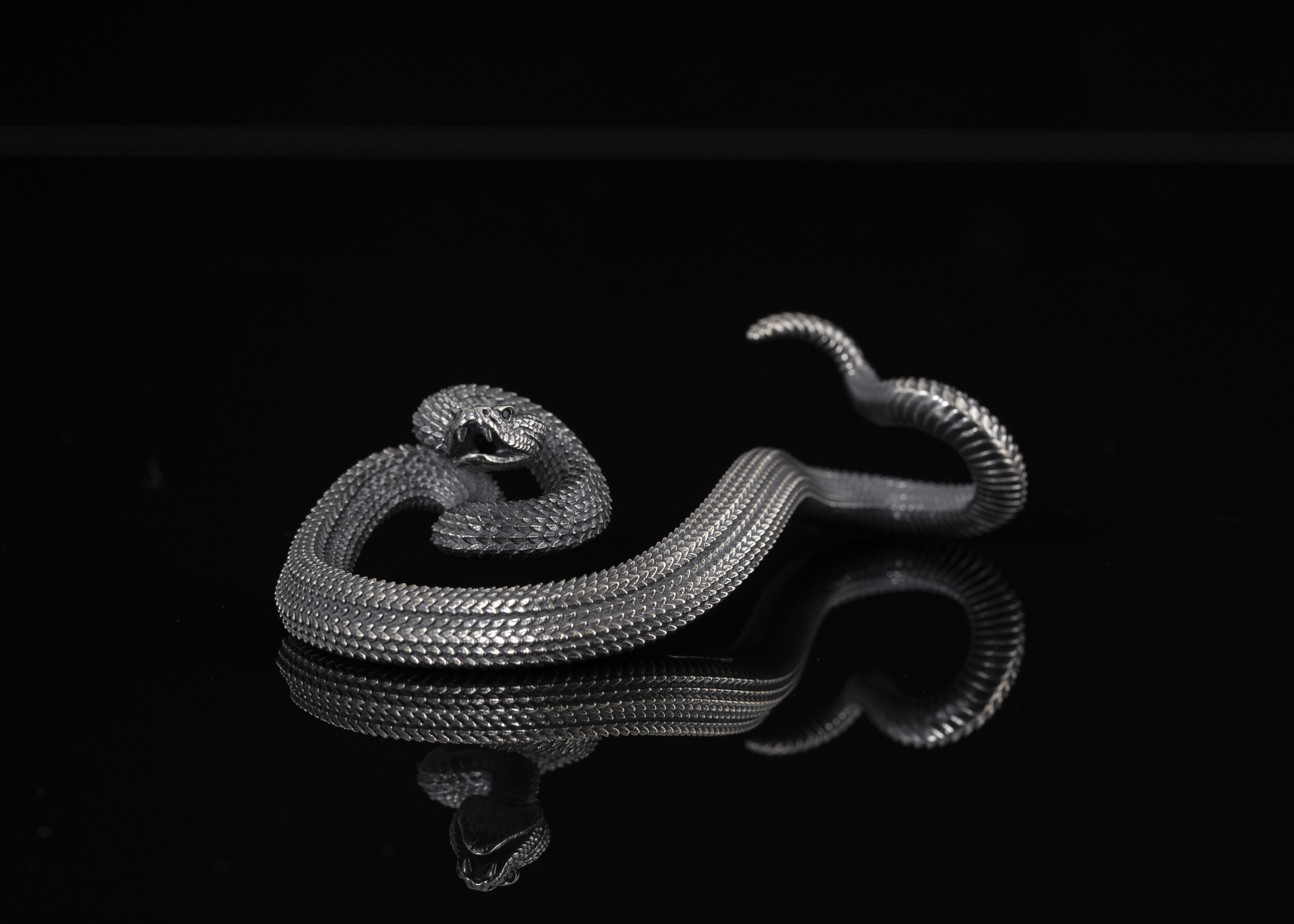 Photo by coppertistwu