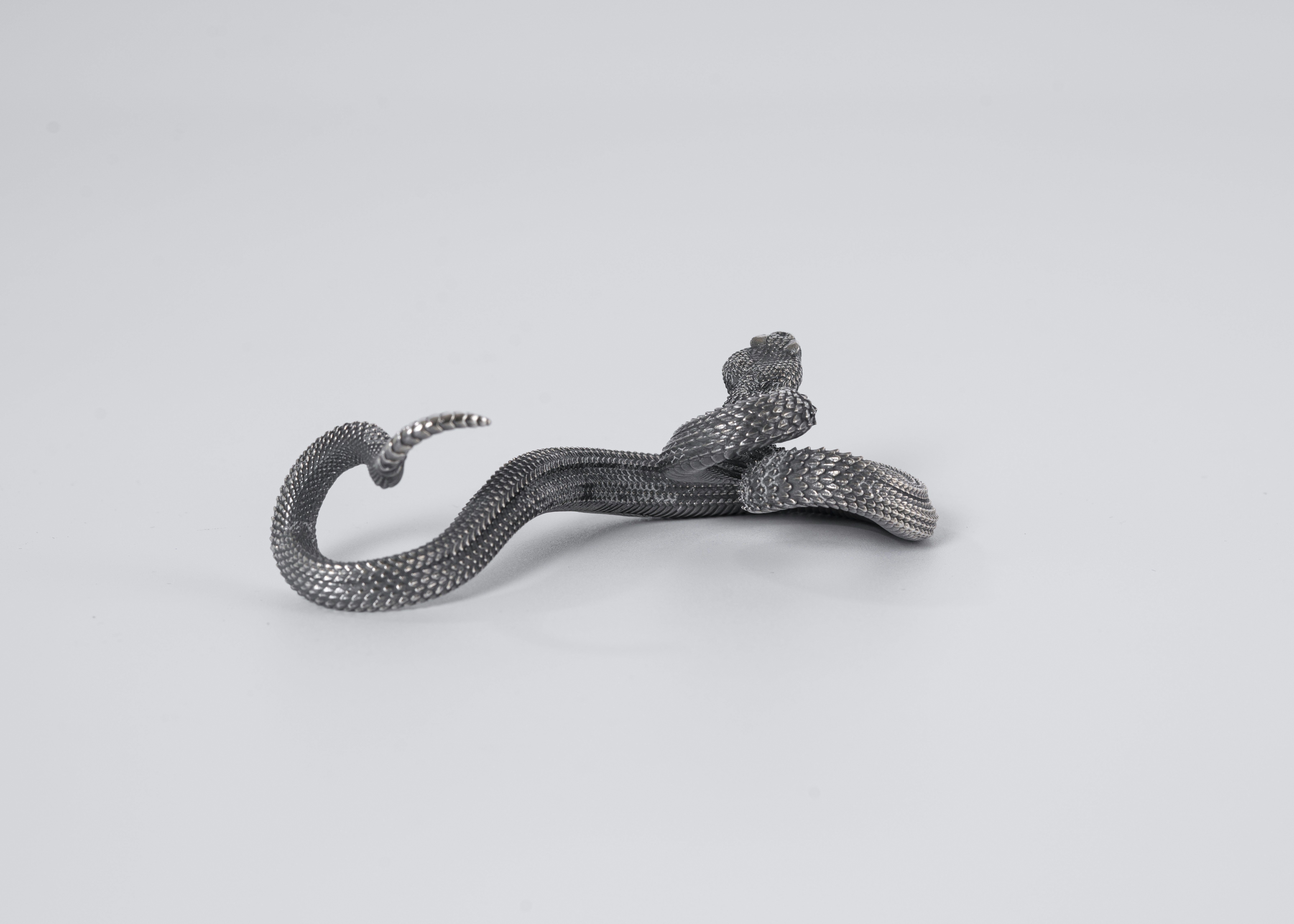 Photo by coppertistwu