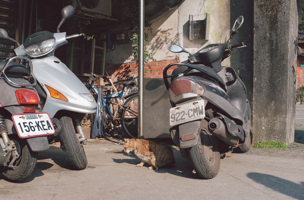 a couple of motorcycles parked next to each other