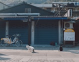 In front of a building with shuttered doors, a white cat and a black cat are sitting on the pavement. A yellow and white bicycle with a basket is parked nearby, and there is a sign with text and illustrations in an Asian language. The background includes a mountain with trees.
