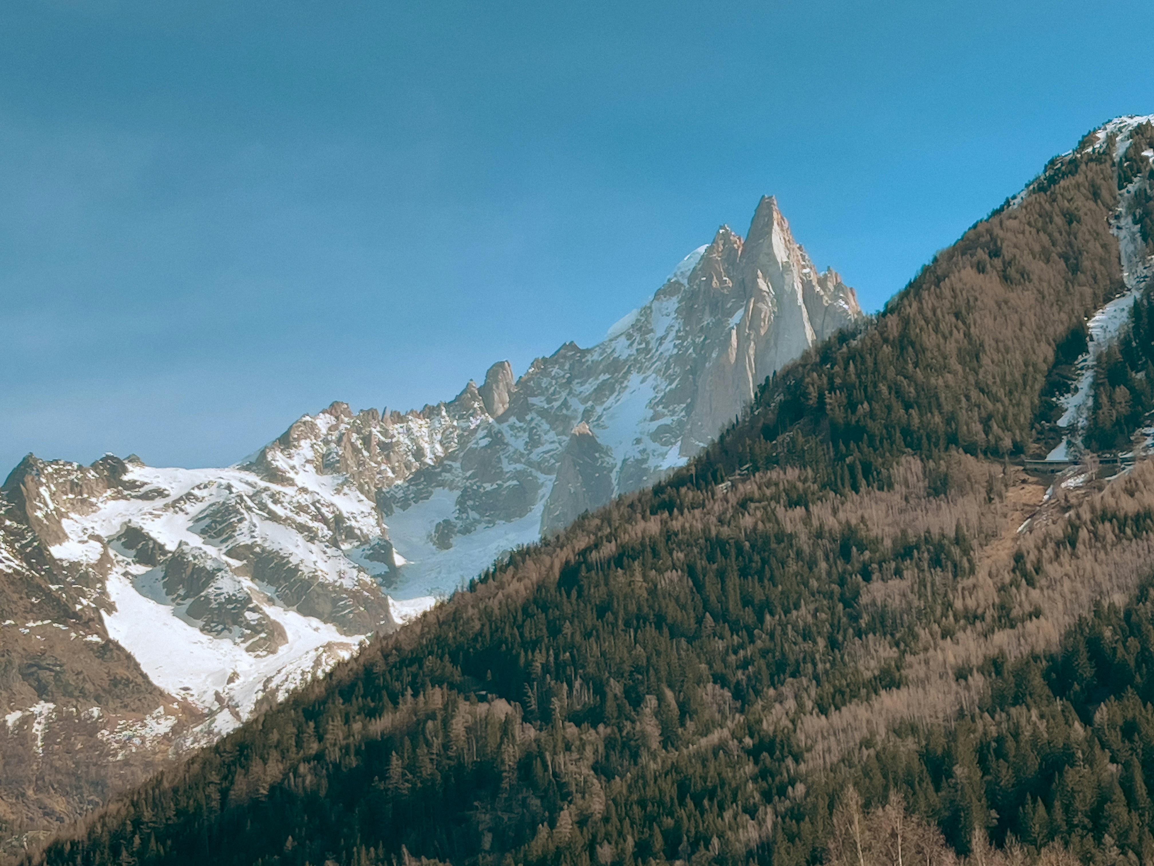 a snow covered mountain with trees on the side