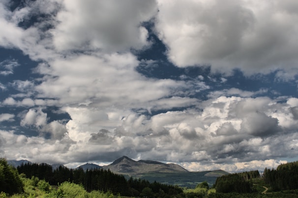 A tranquil landscape photograph highlighting nature's beauty for immersive experiences.