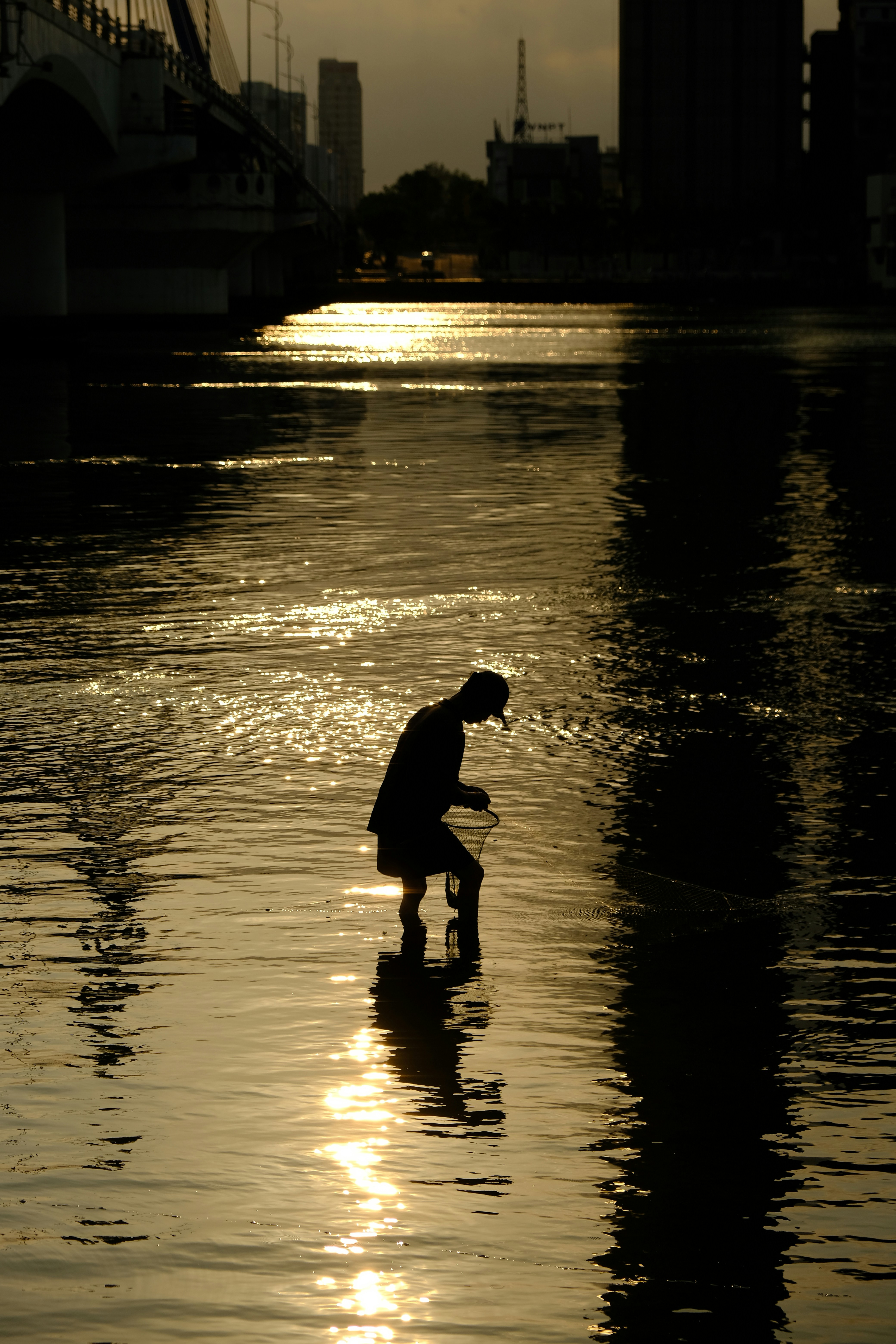 Photo by dvhoang2106