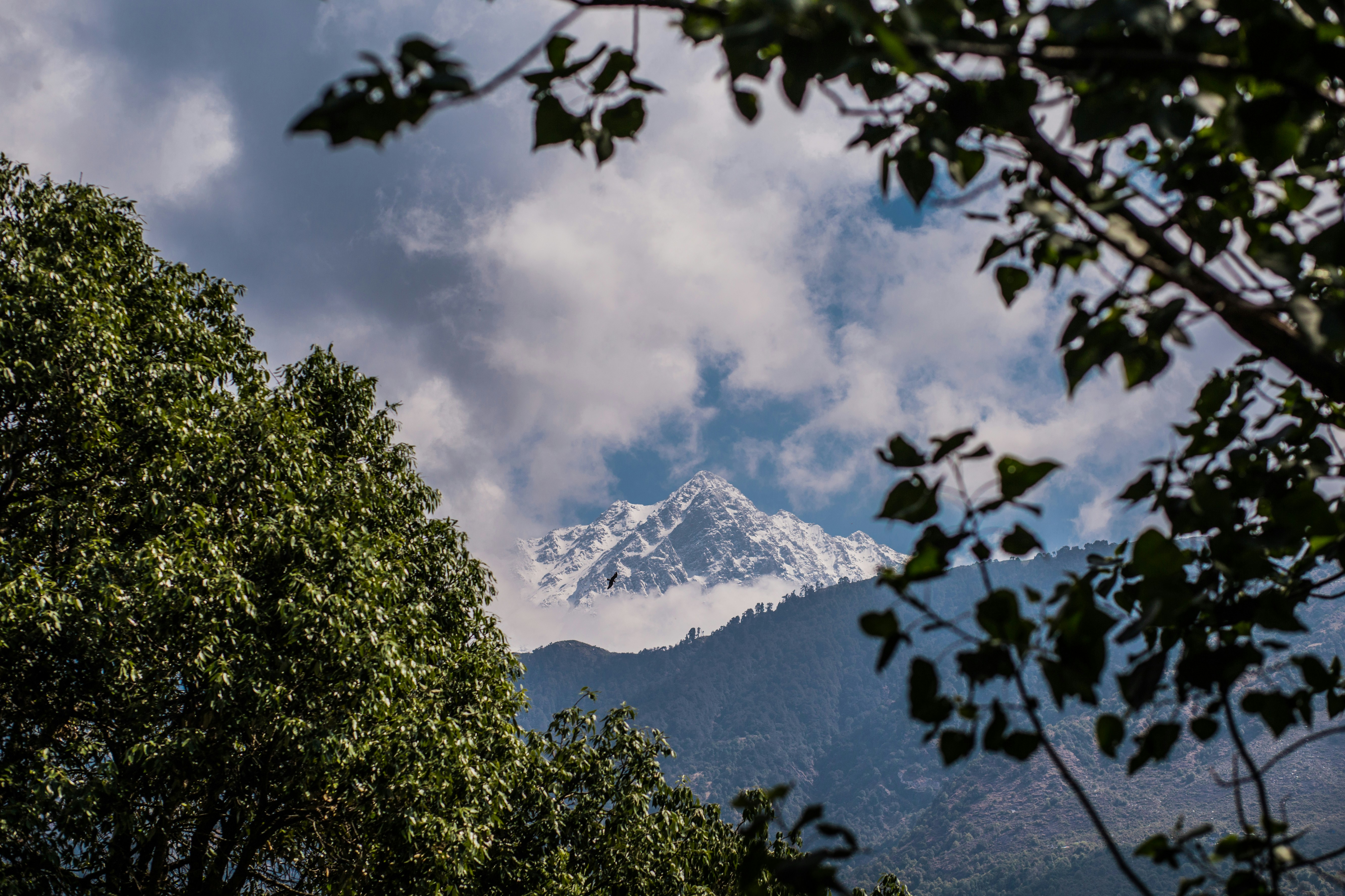 Photo by priyamdatta