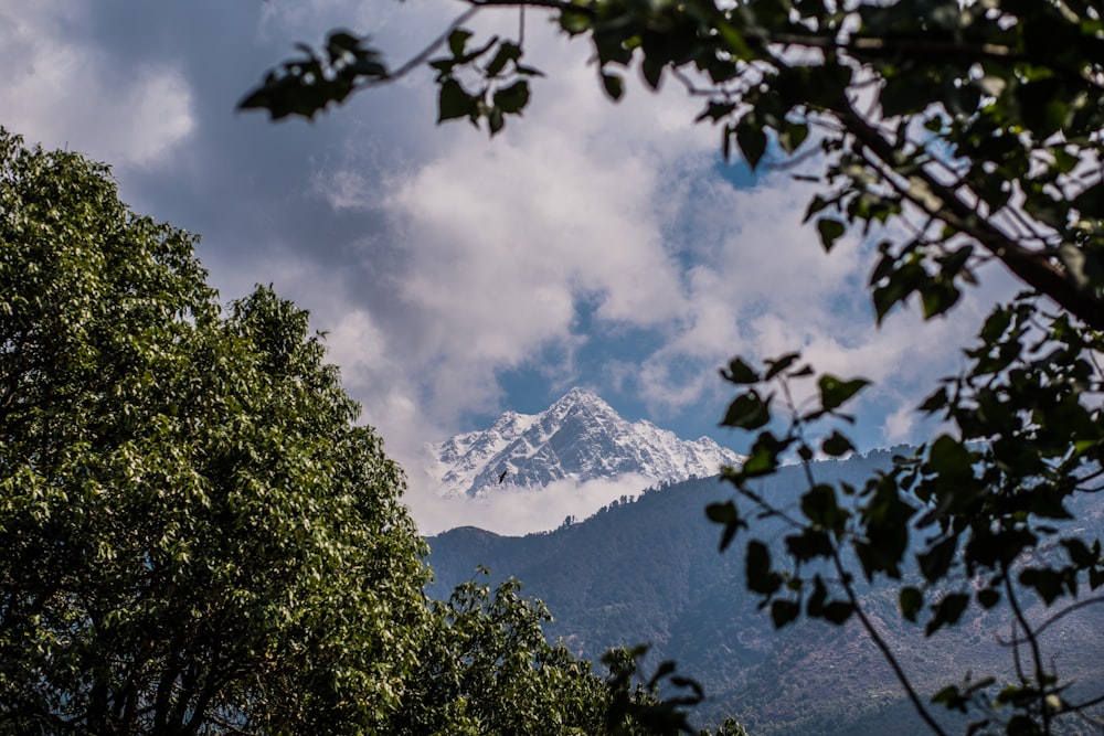 a view of a snow capped mountain through some trees