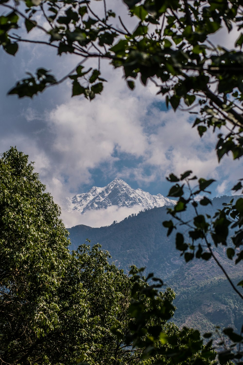 a view of a snow capped mountain through the trees