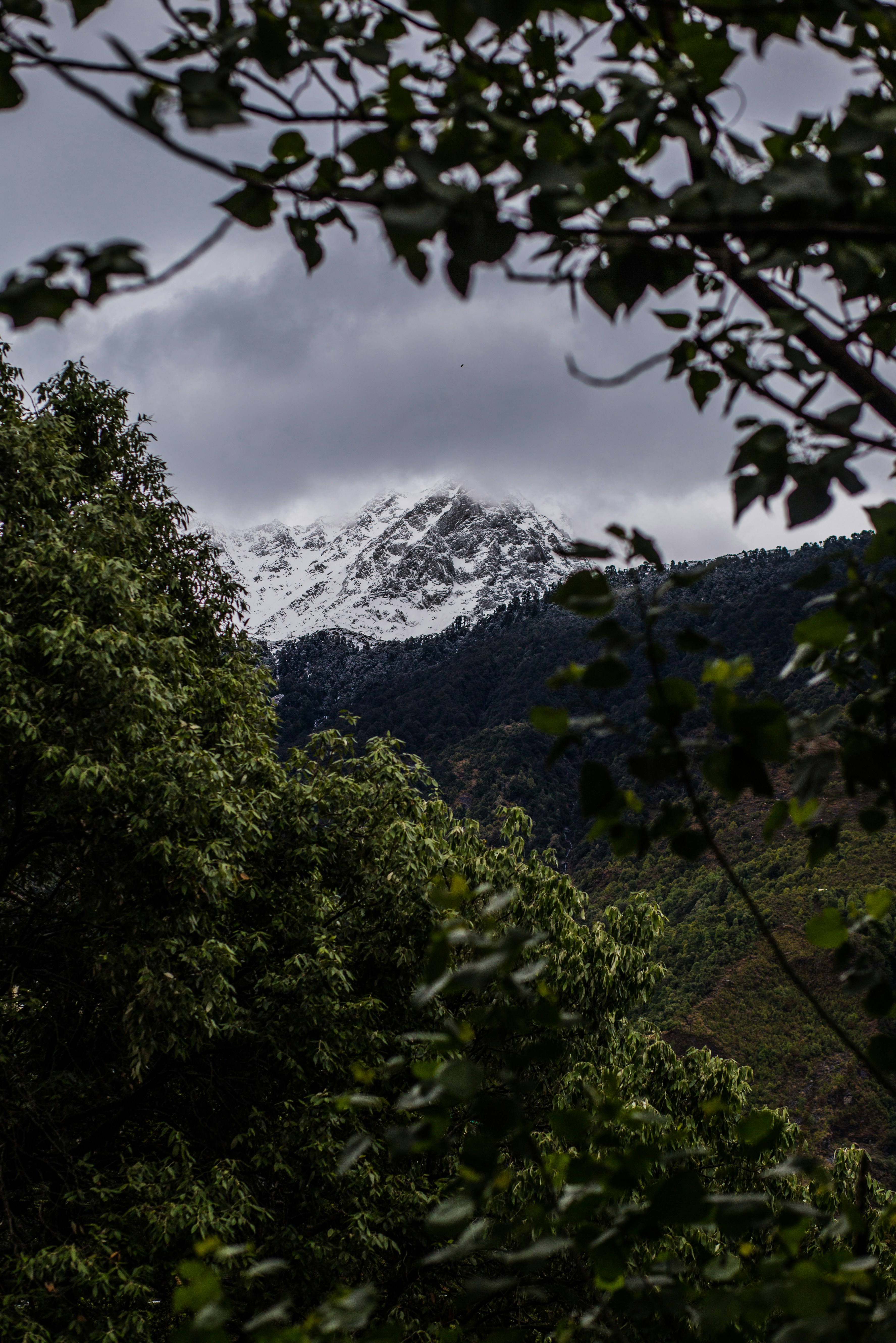 Photo by priyamdatta