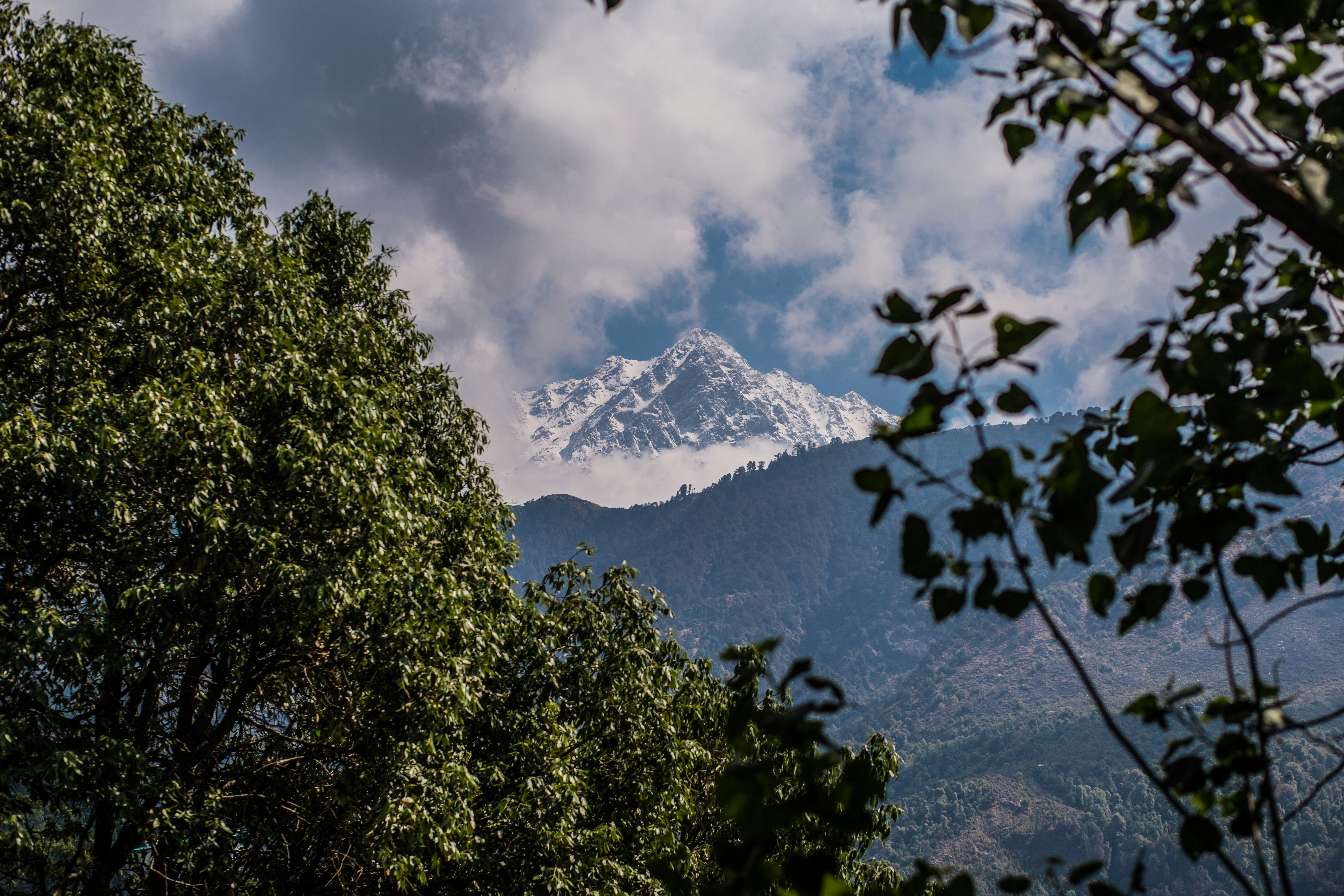 Photo by priyamdatta