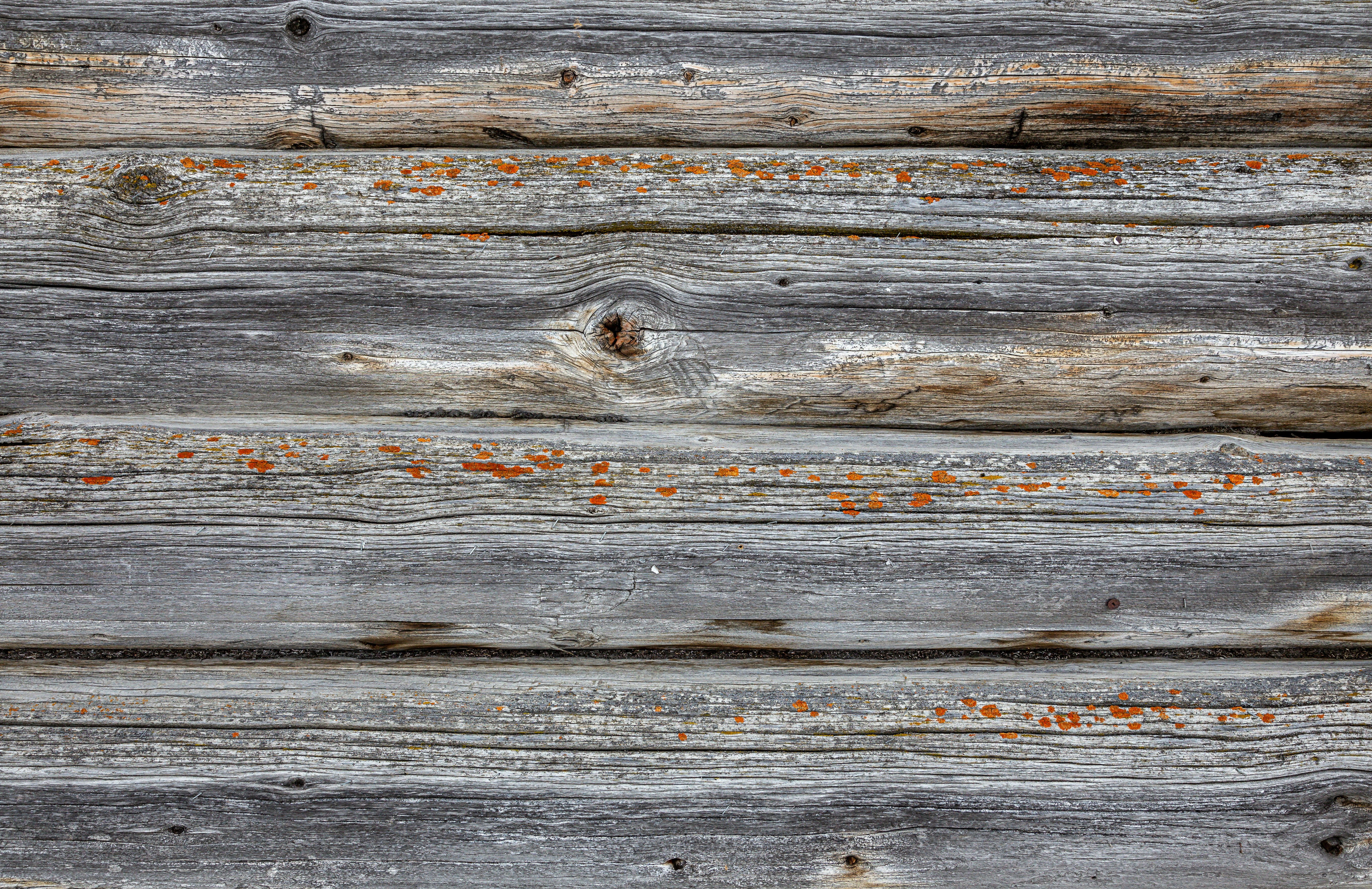 Photo by fototobeloved