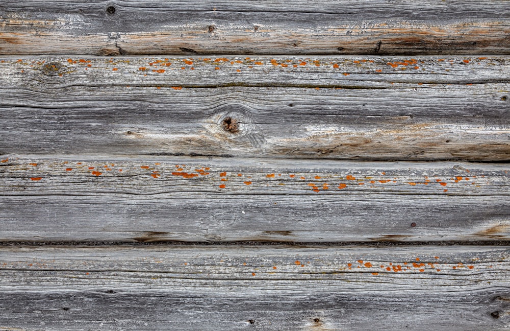 a close up of a wooden wall with orange dots