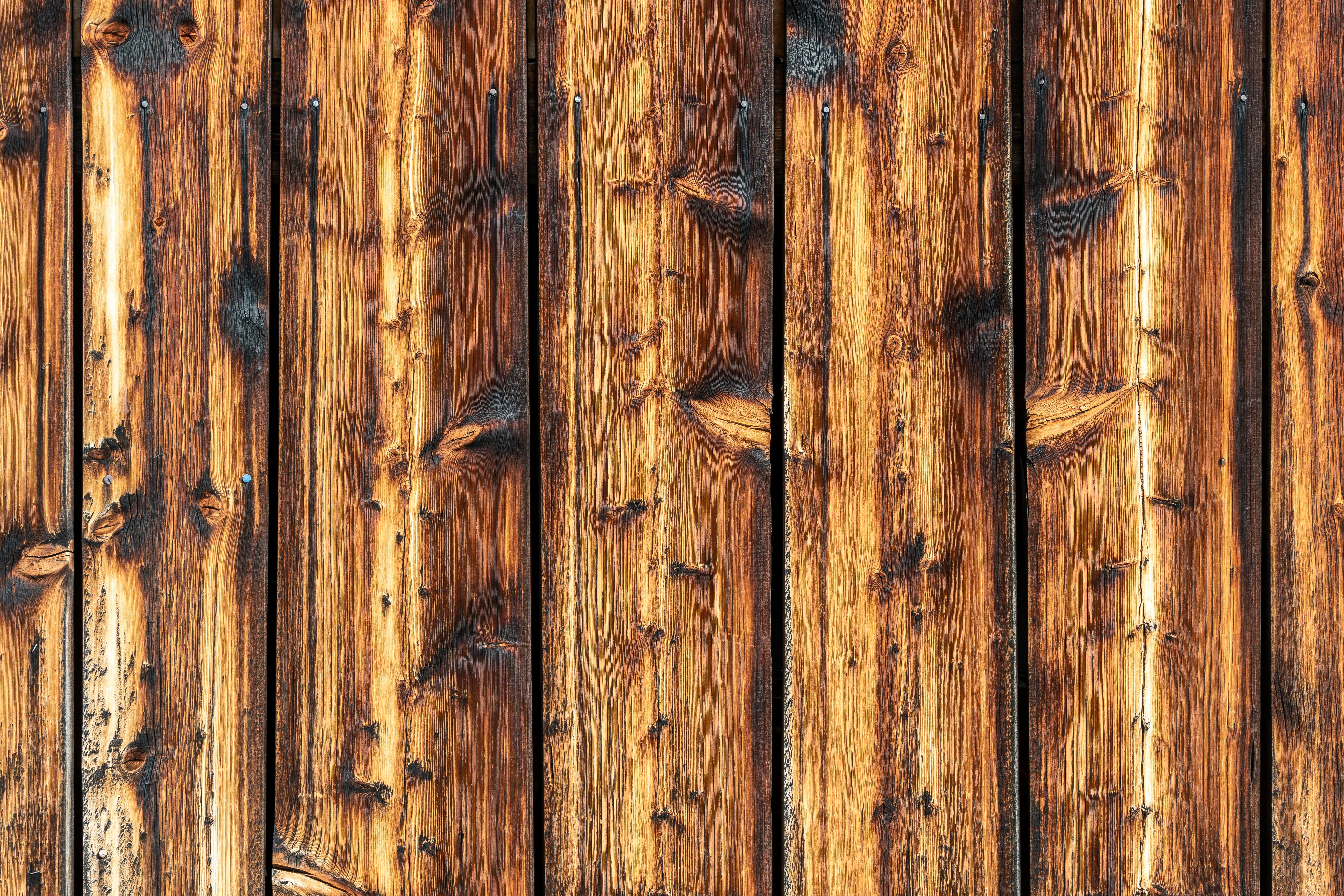 Photo by fototobeloved