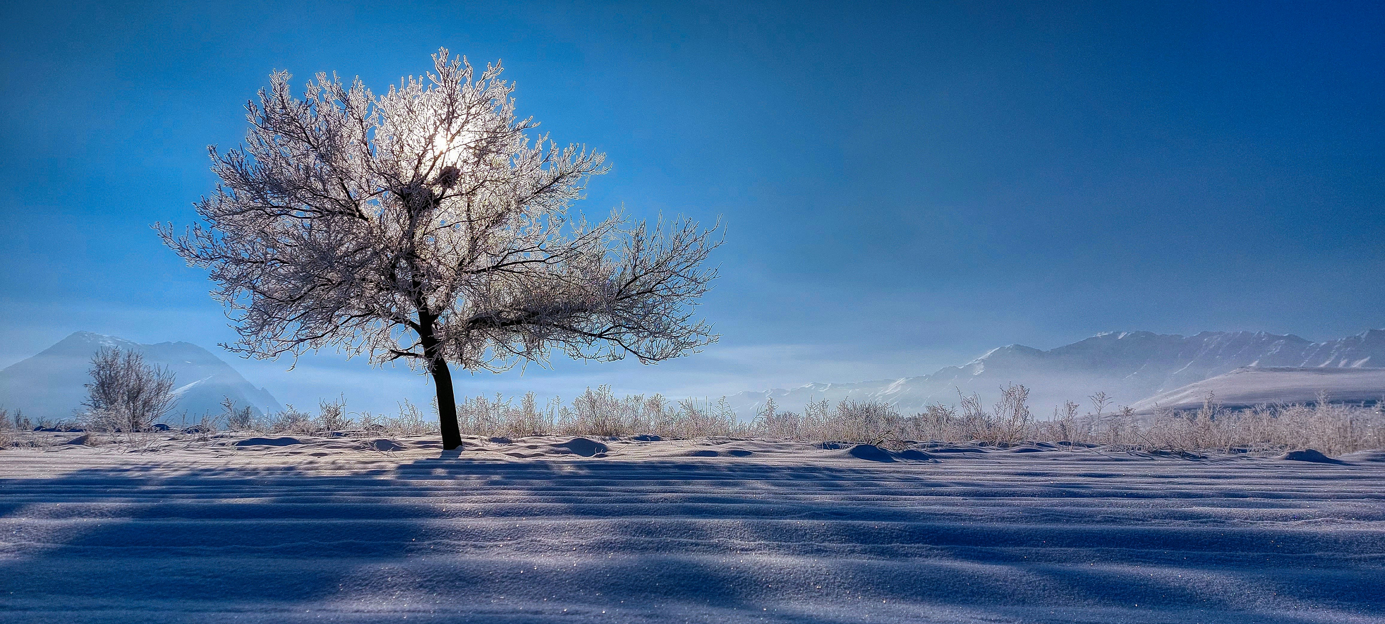 Photo by aliarjmandi