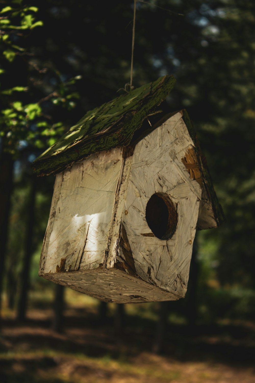 a birdhouse hanging from a tree in a forest