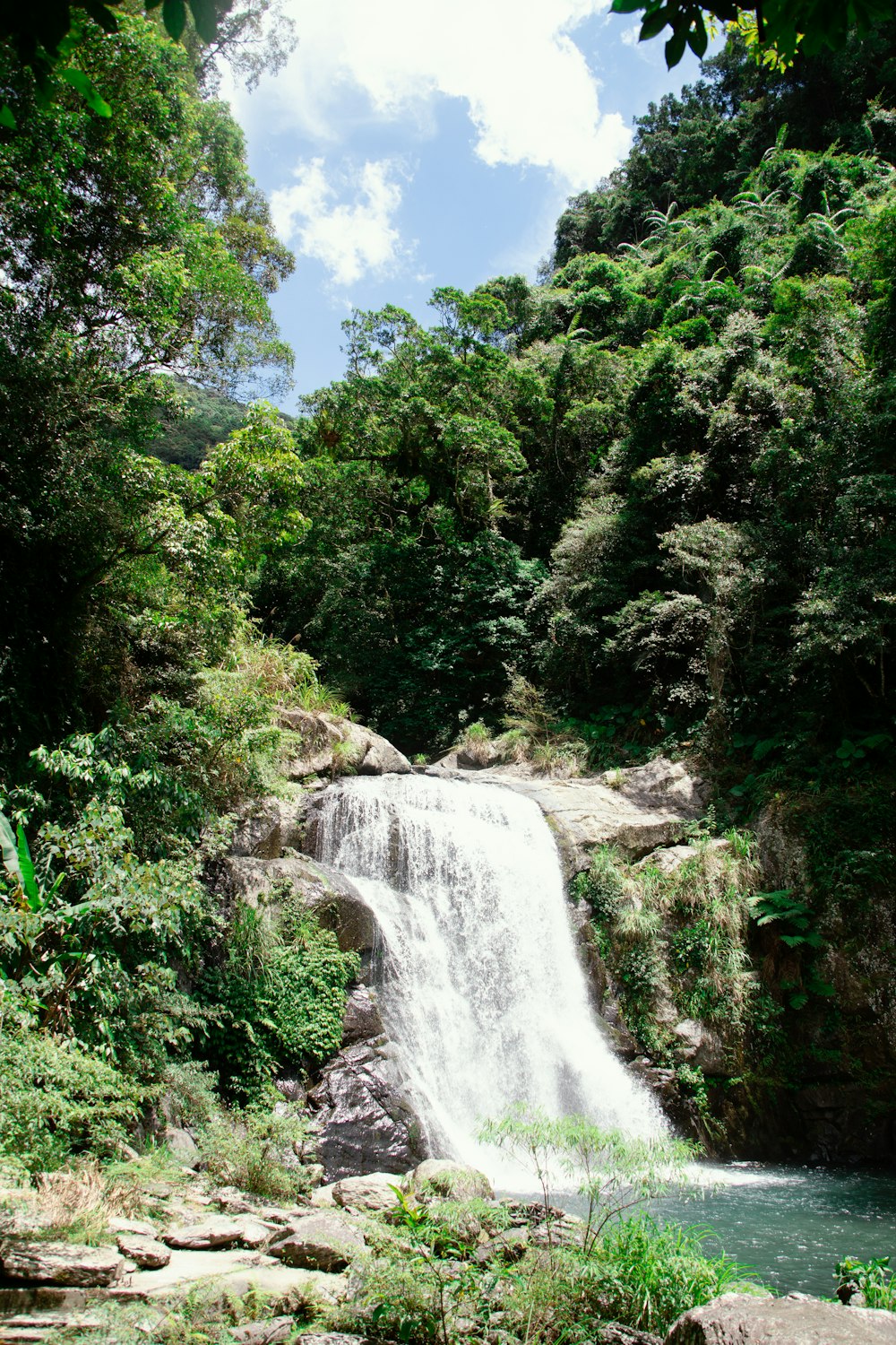 a large waterfall in the middle of a forest