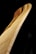 A close-up view of a wooden object with smooth curves and a polished surface. The grain of the wood is prominently displayed, showing natural tones ranging from light to medium brown. The background is stark black, highlighting the wood's texture and color.