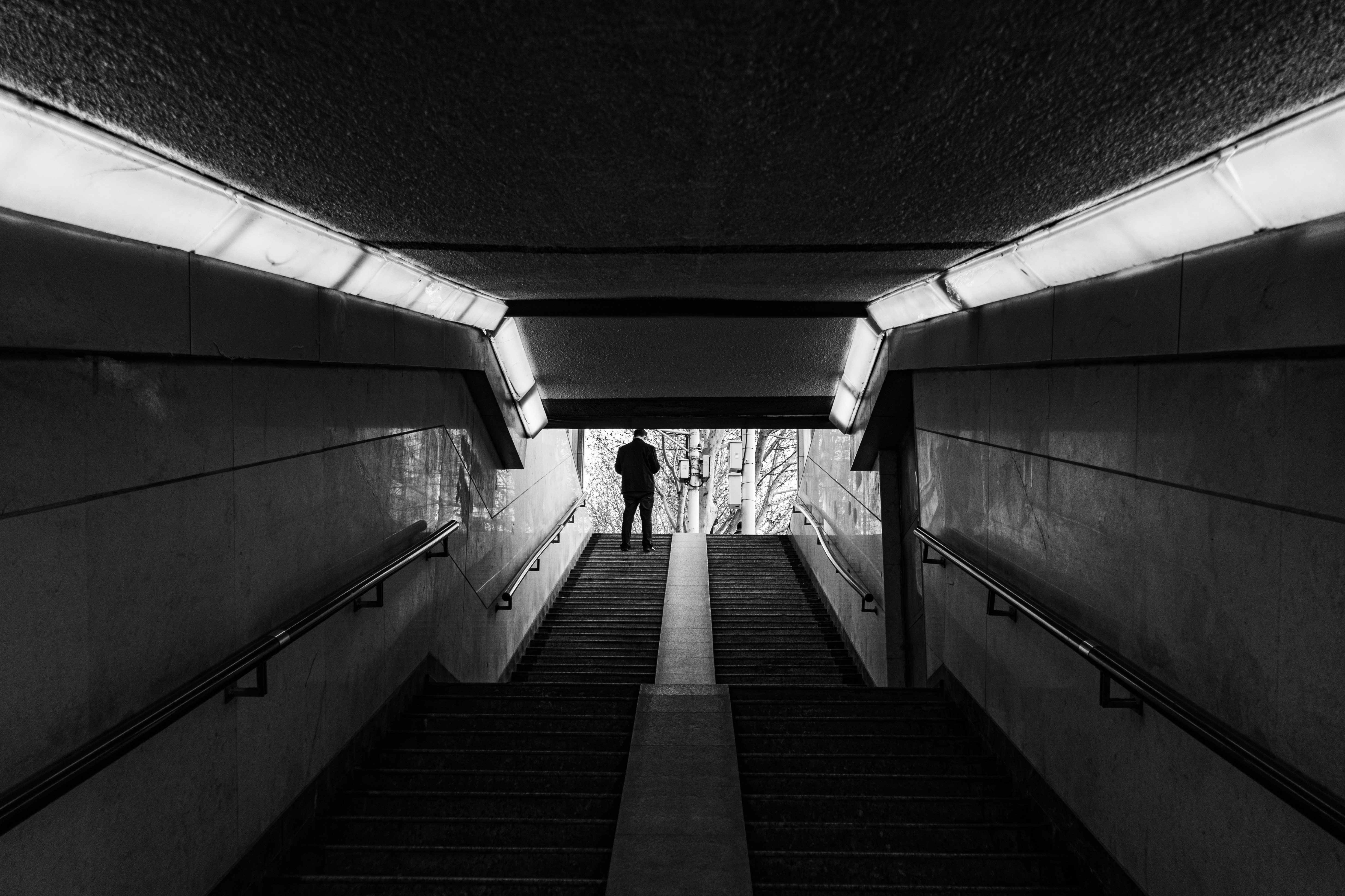 Photo by y1316476967