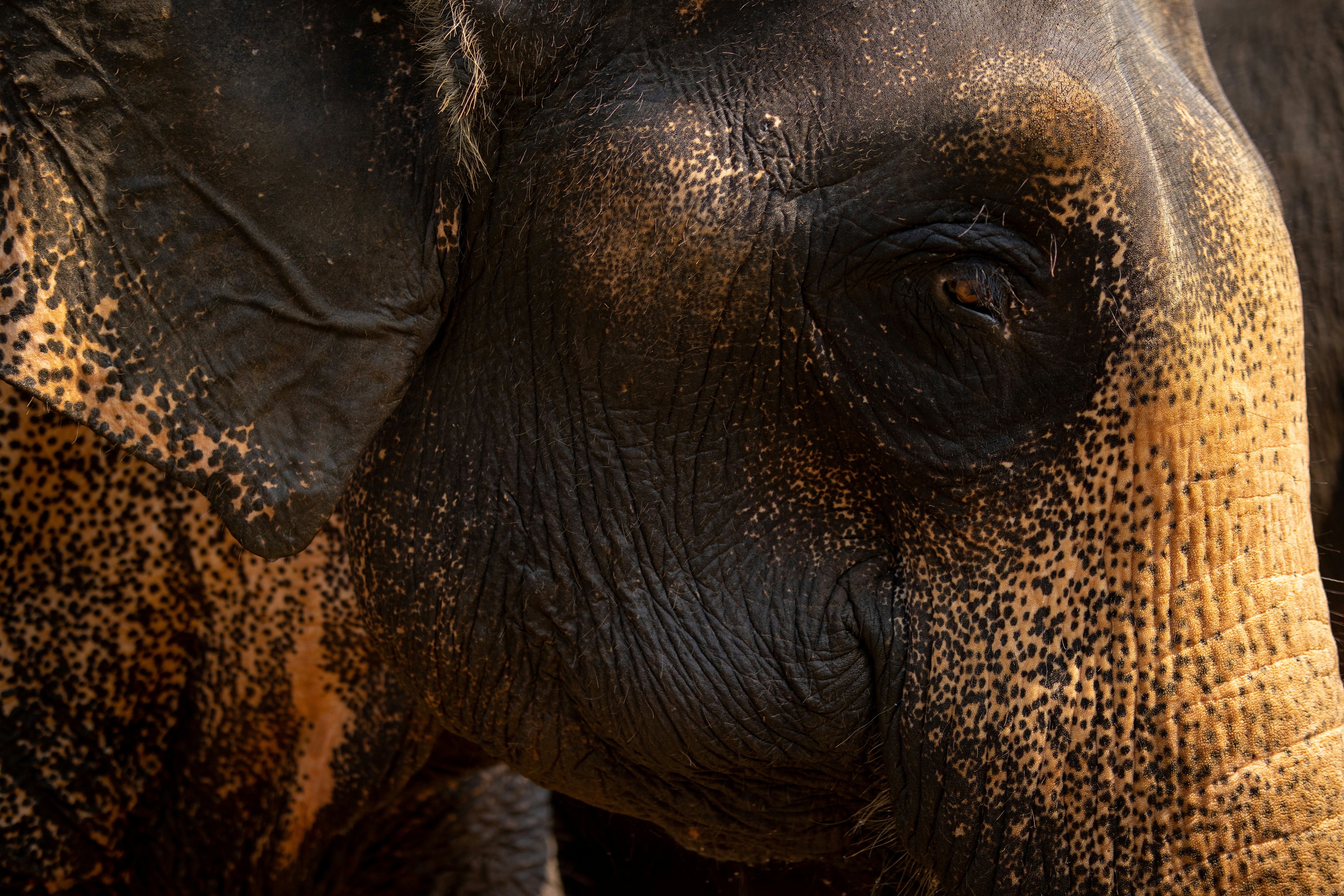 Photo by jacekjaniczak