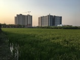 A serene field of lush green grass stretches across the foreground, with tall residential buildings in the background. The sky has a warm hue, likely indicating sunset or sunrise. There are construction cranes visible near the buildings, suggesting ongoing development.