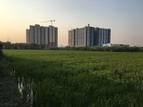 A serene field of lush green grass stretches across the foreground, with tall residential buildings in the background. The sky has a warm hue, likely indicating sunset or sunrise. There are construction cranes visible near the buildings, suggesting ongoing development.