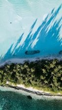 an aerial view of a tropical island with palm trees
