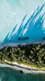 an aerial view of a tropical island with palm trees