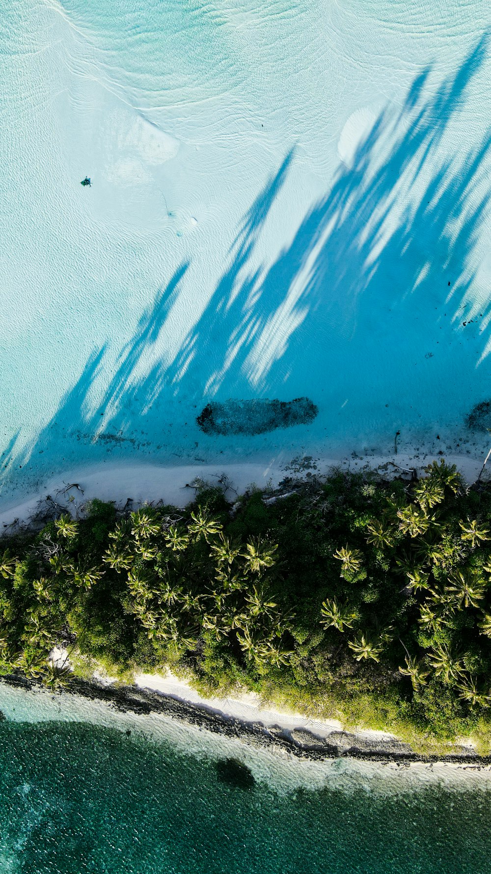 an aerial view of a tropical island with palm trees