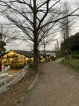 A peaceful outdoor scene featuring a pathway alongside a series of buildings with warm lighting. Leafless trees line the dirt path, adding a serene winter or late autumn atmosphere. The buildings appear to be part of a welcoming establishment, possibly a caf&eacute; or restaurant, with white outdoor furniture visible near the entrance.