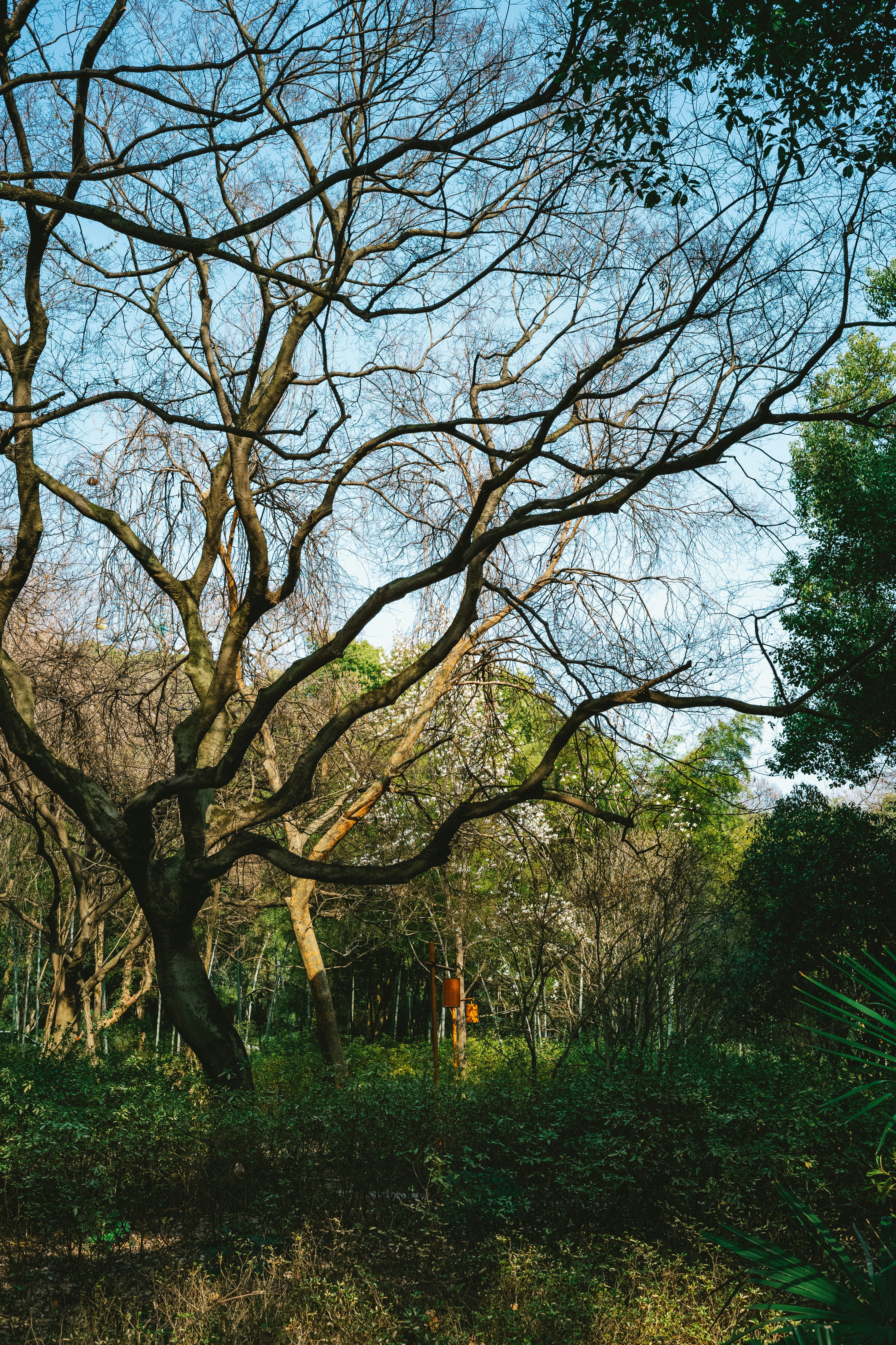 Photo by tommaomaoer