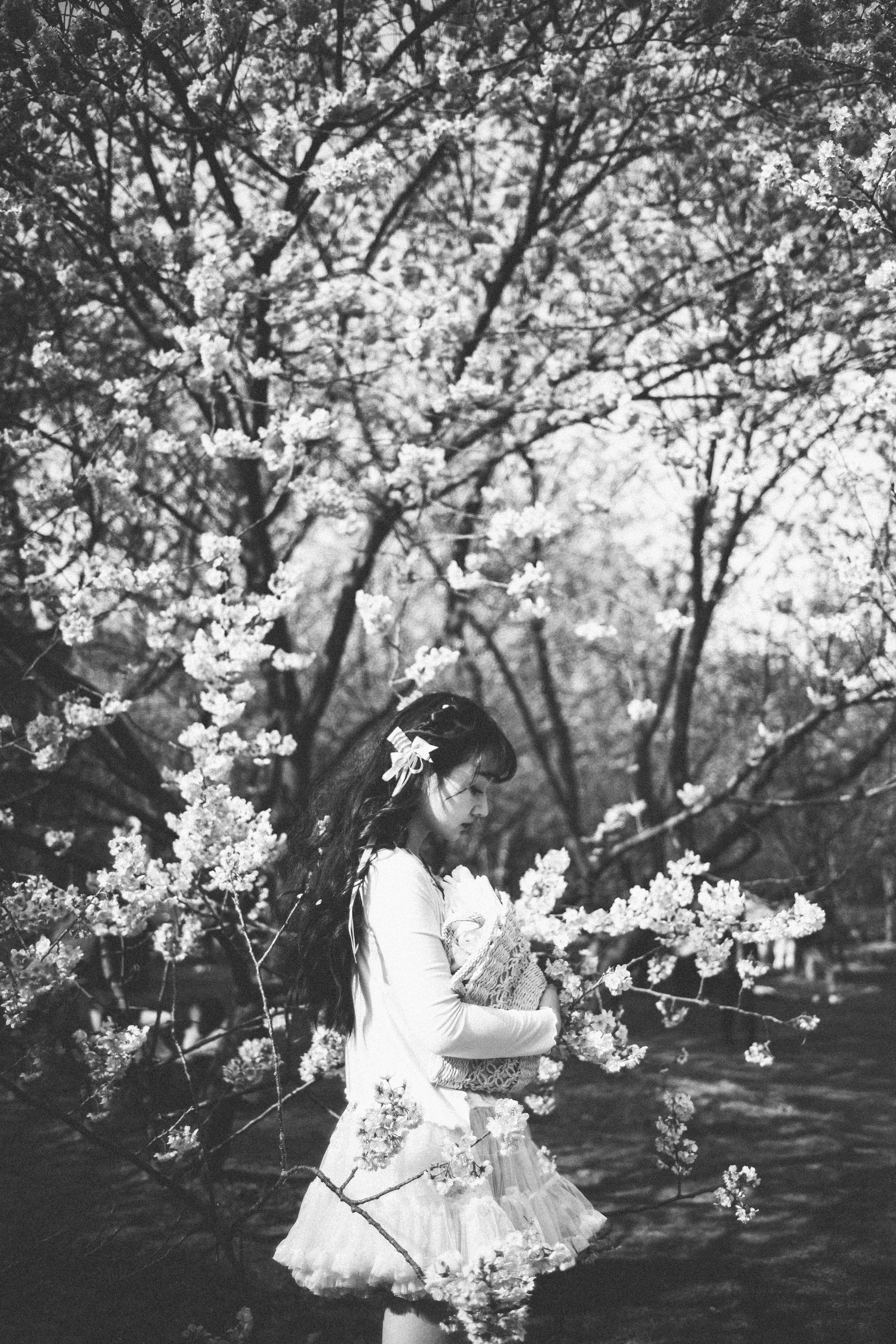 Photo by tommaomaoer