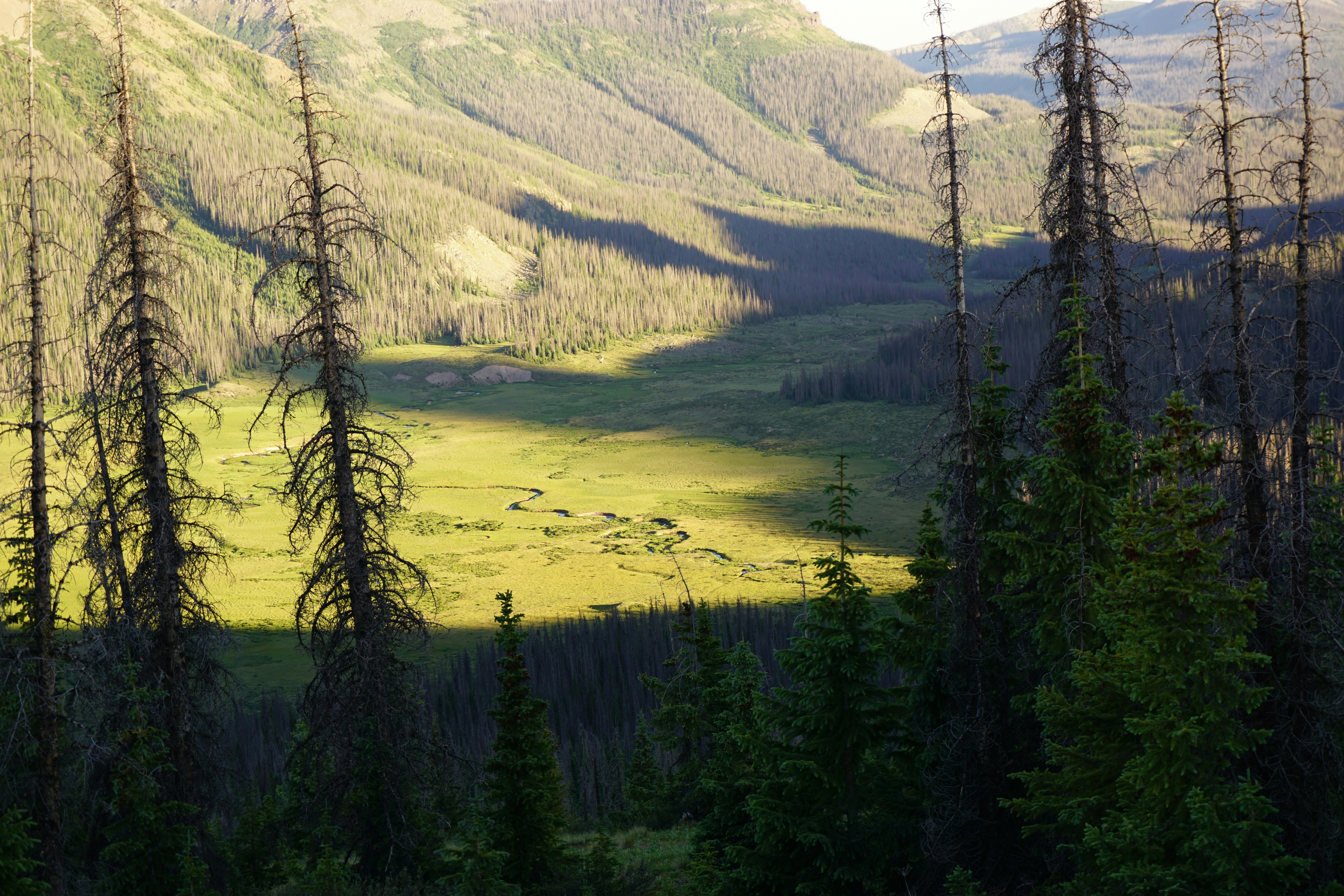 Photo by cowilderness