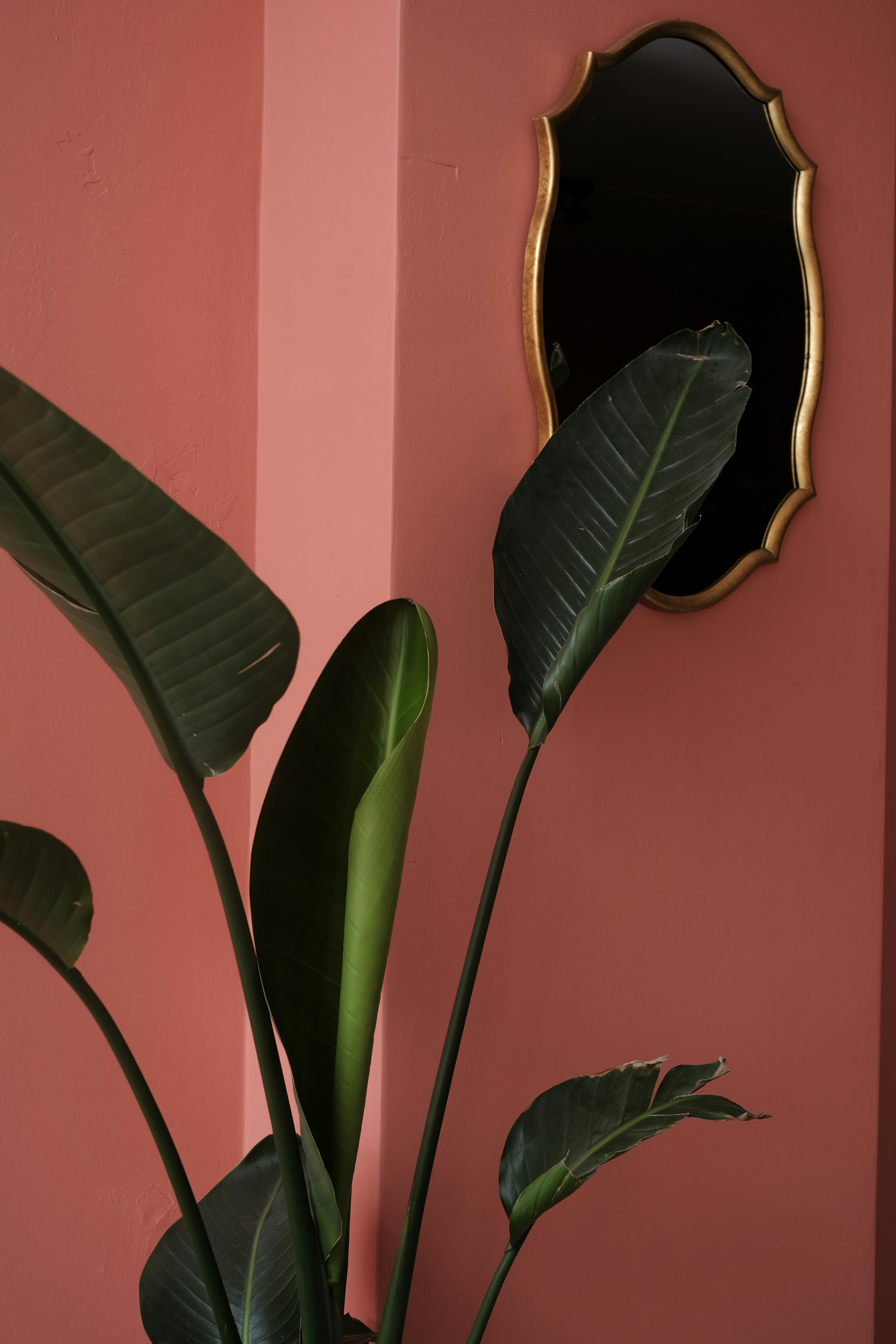 Photo by muverrihhanim