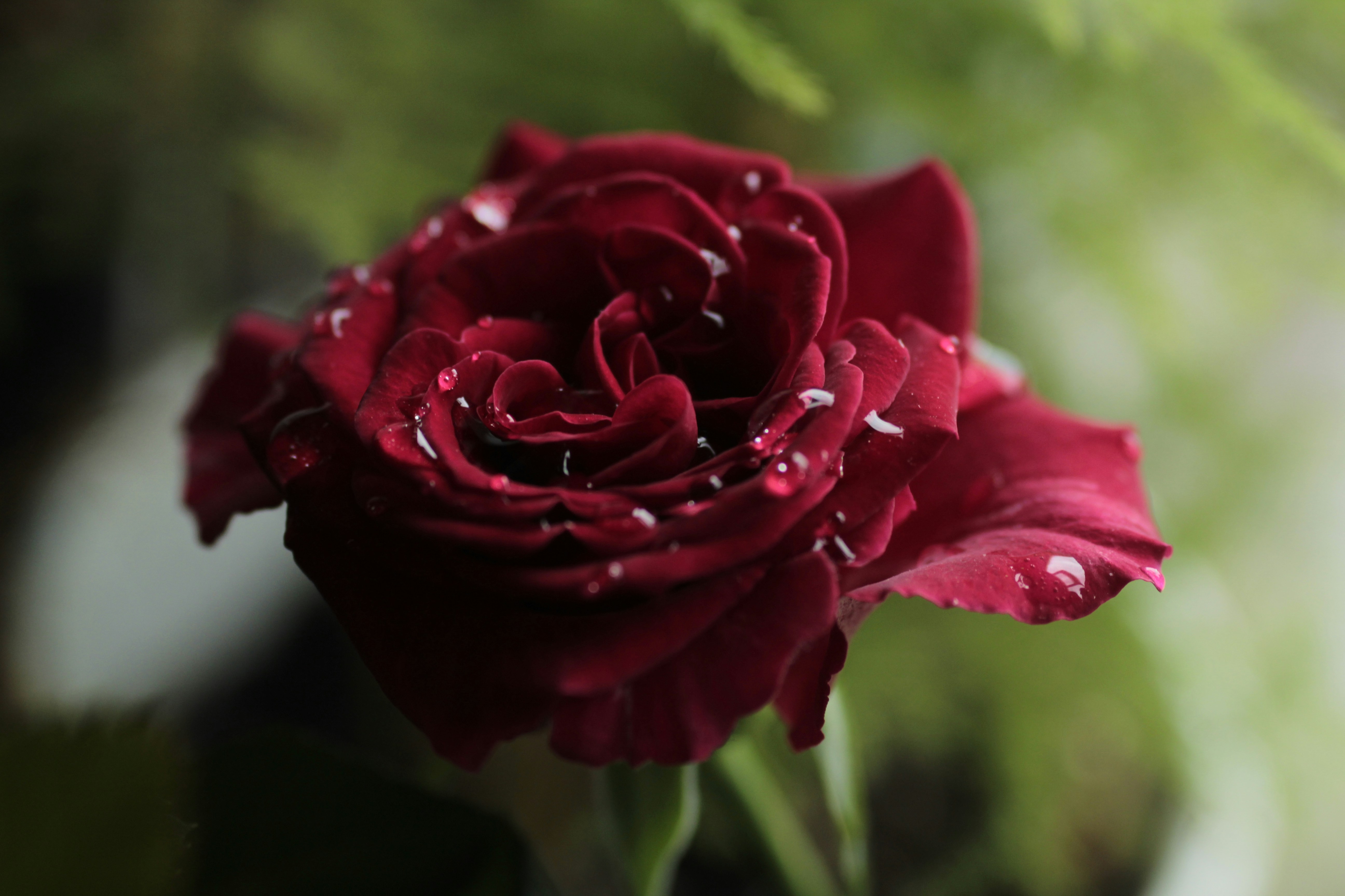 Photo by borislavabb88