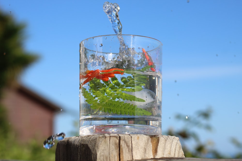 un vaso transparente lleno de agua y peces de colores