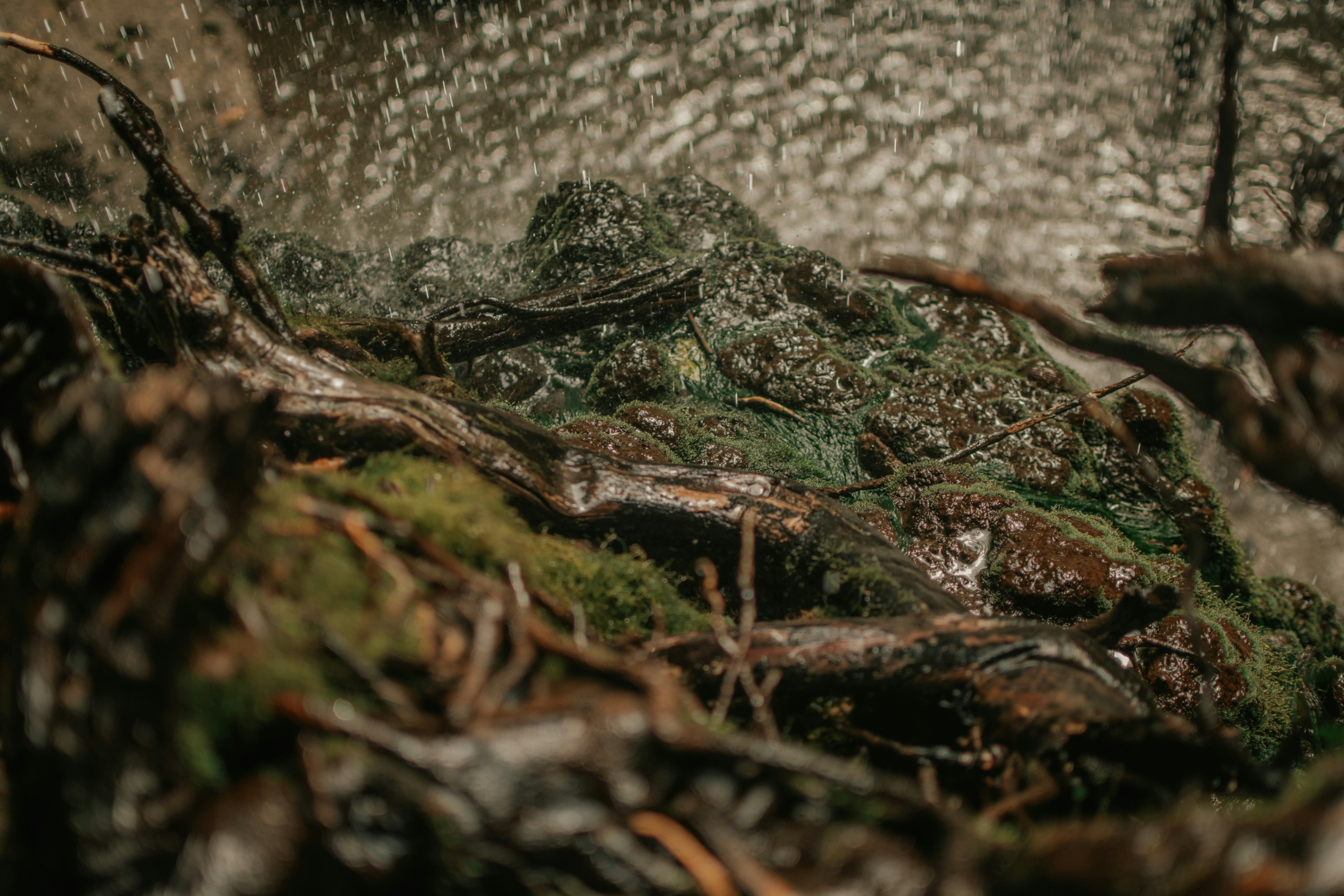 Photo by utunzajiwamazingira