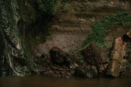 A natural scene featuring a rocky landscape with water gently cascading over the rocks. Lush green vegetation climbs up the rocks, contrasting with the dark, wet stone surface. The ambiance is serene and untouched, with earthy textures and moisture evident on the rocks and foliage.
