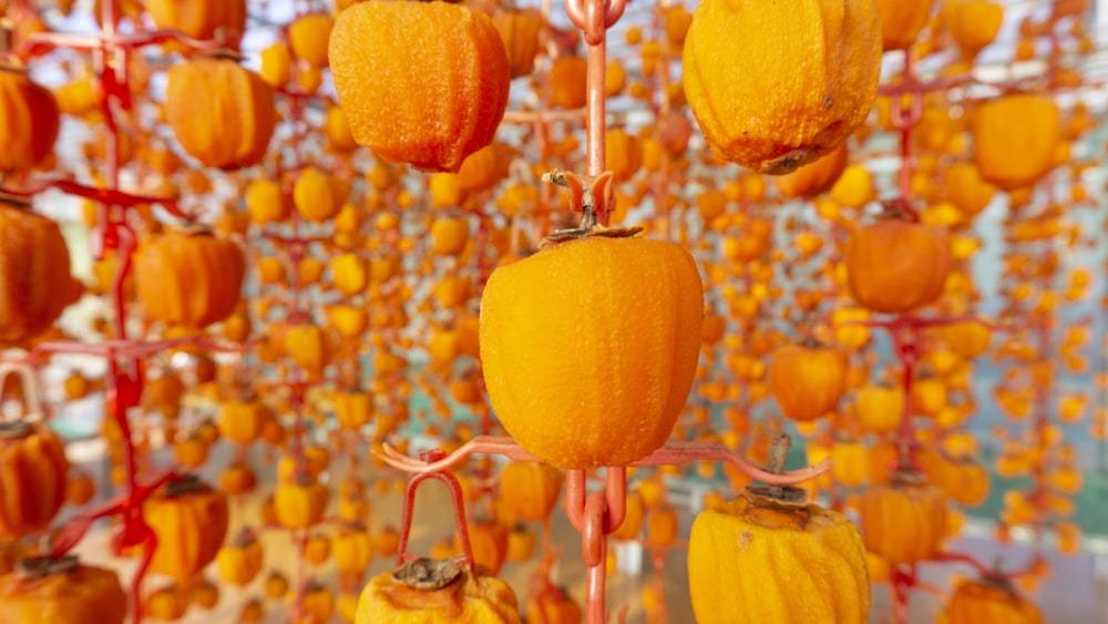 a bunch of oranges hanging from a string