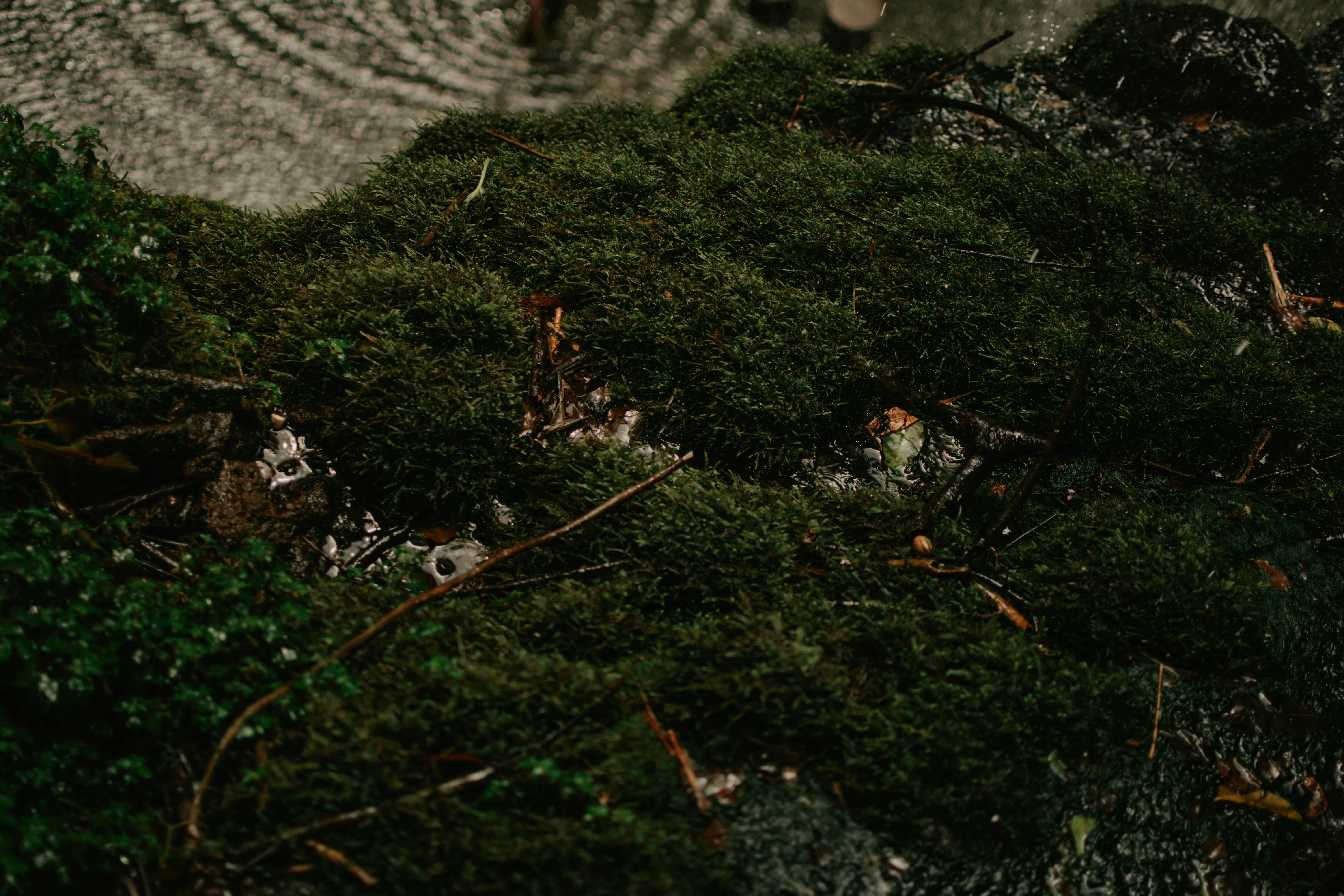 Photo by utunzajiwamazingira