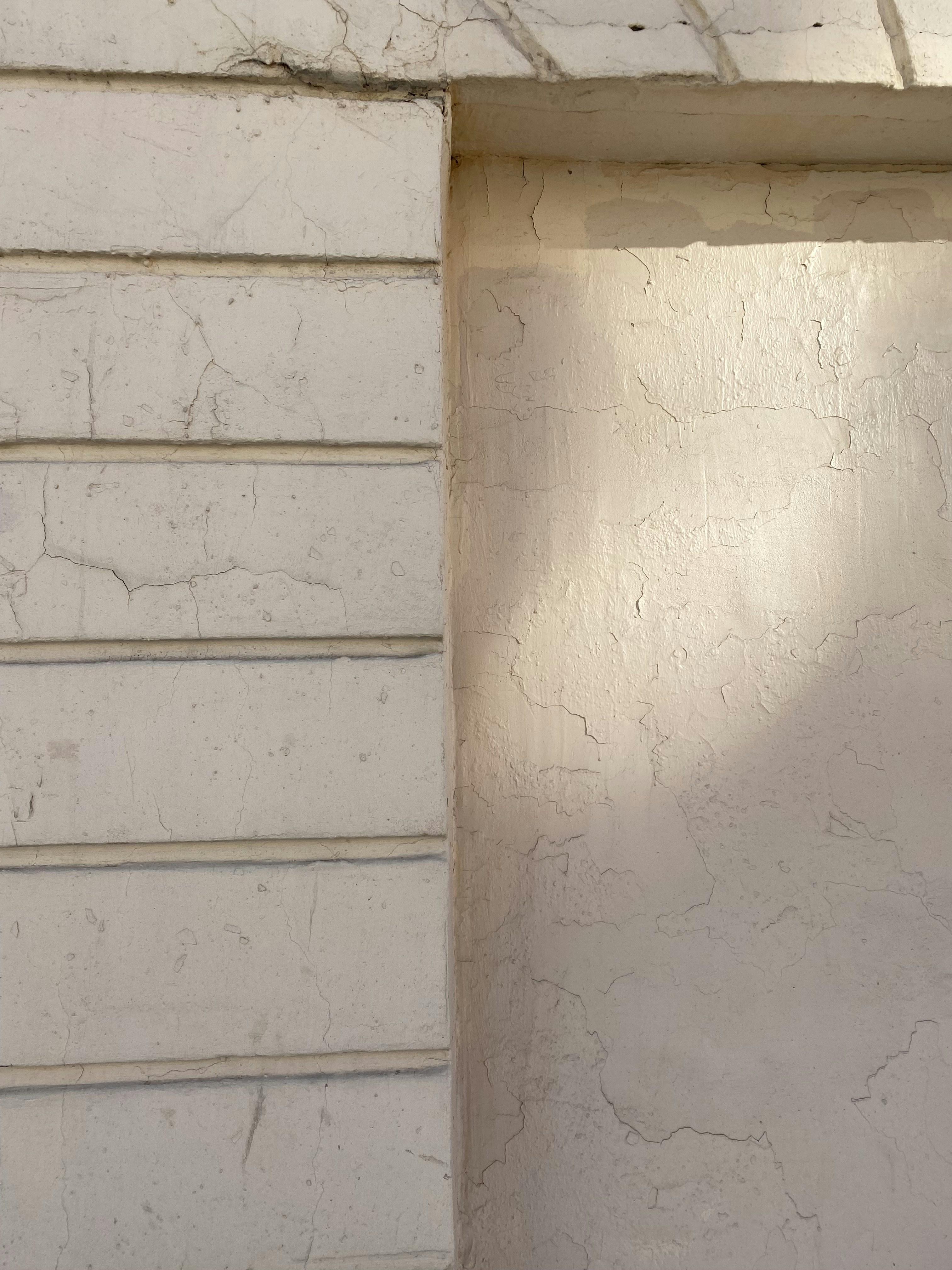 The David Collection photo 2