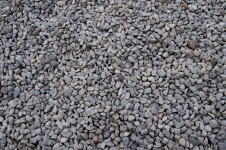 A large collection of small, uniformly colored gravel stones tightly packed together. The stones vary slightly in size and shape, appearing predominantly gray with occasional hints of beige and brown.