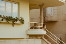 Two dogs stand on a small balcony attached to a modern building. The building has large windows and a decorative flower box filled with green plants and red flowers. The walls are light-colored, and the structure has a sleek, minimalist design with rounded edges and metal railings.