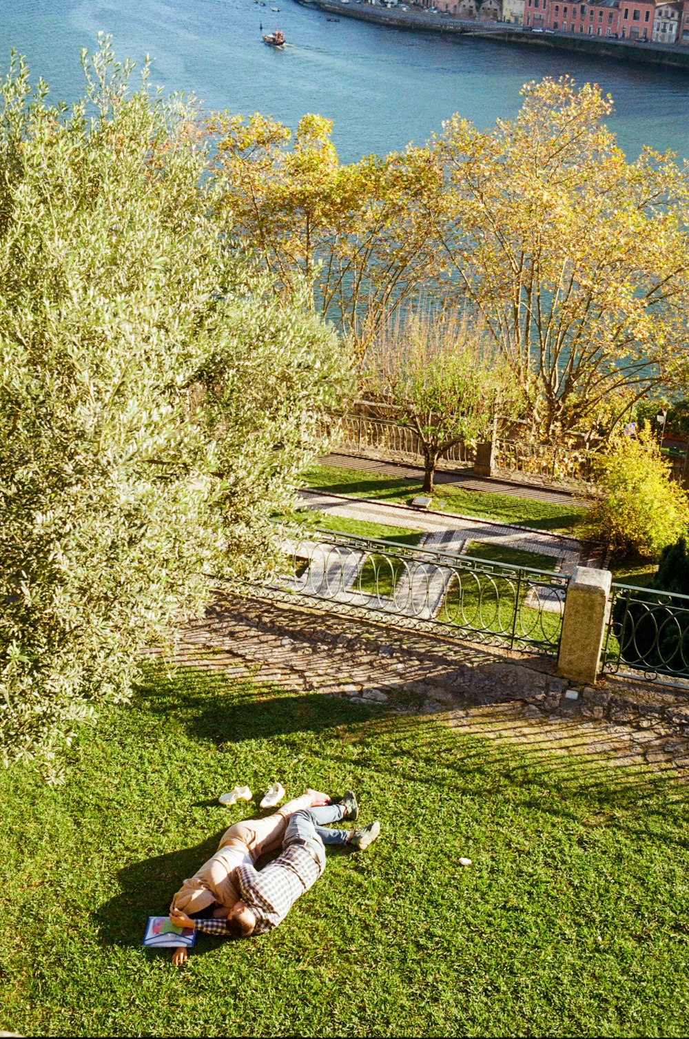 a person laying on the ground next to a tree