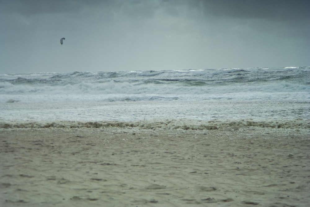 a person flying a kite on the beach