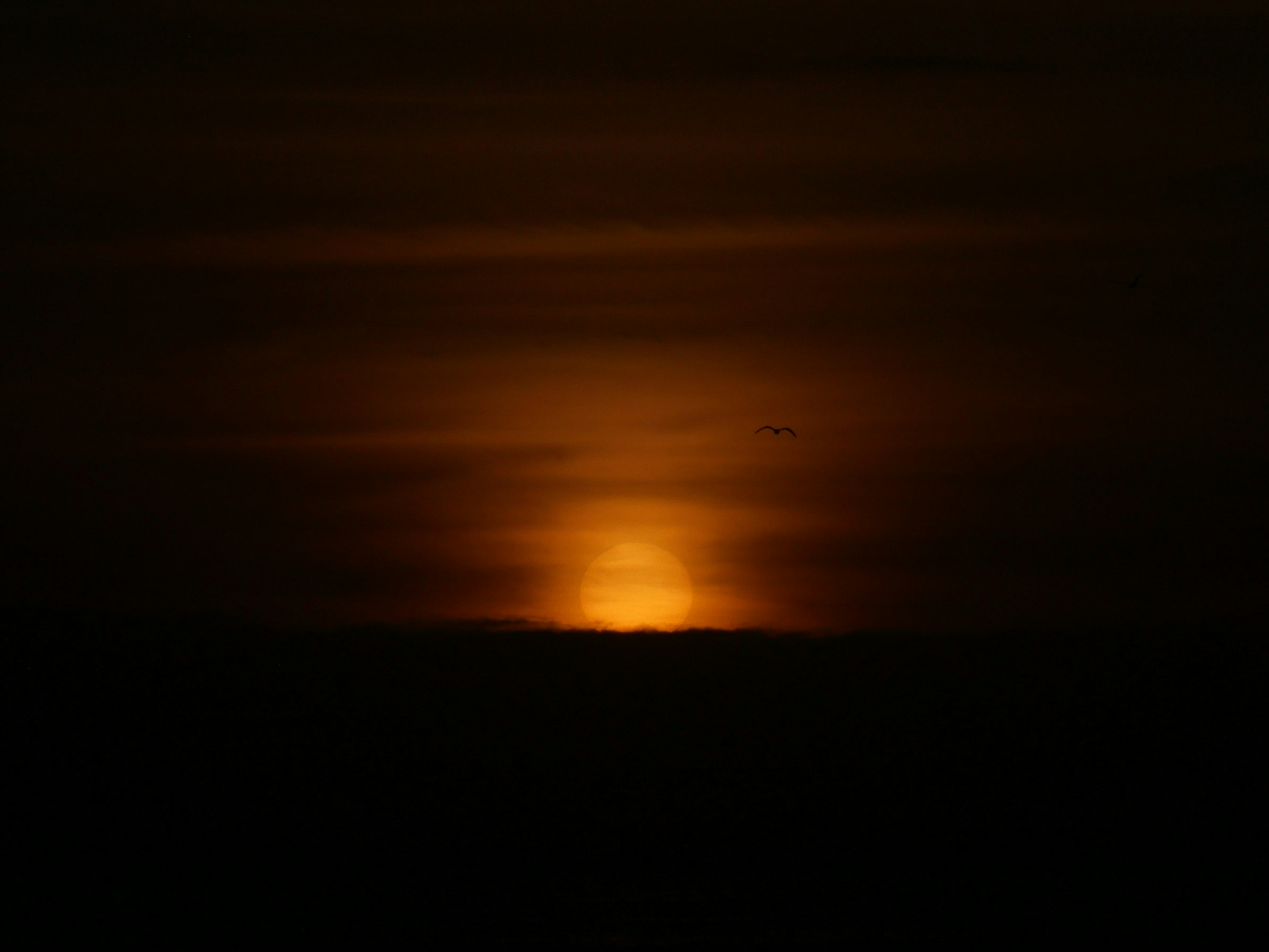 Photo by nimbus_vulpis