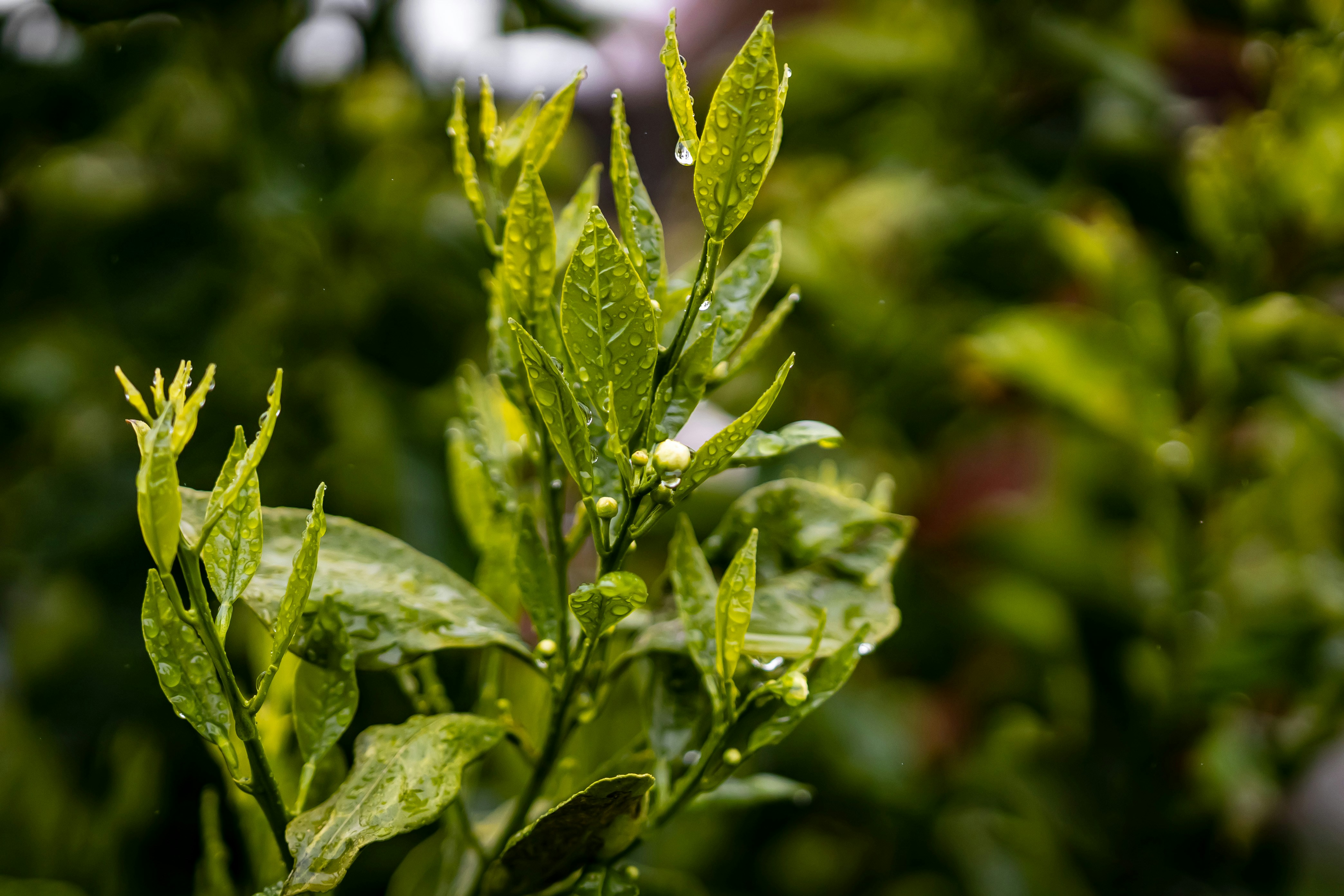 Photo by lightchaser_jeremy