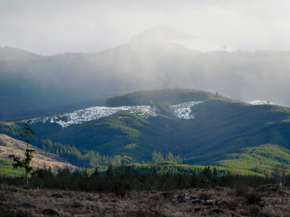 the mountains are covered in snow and trees