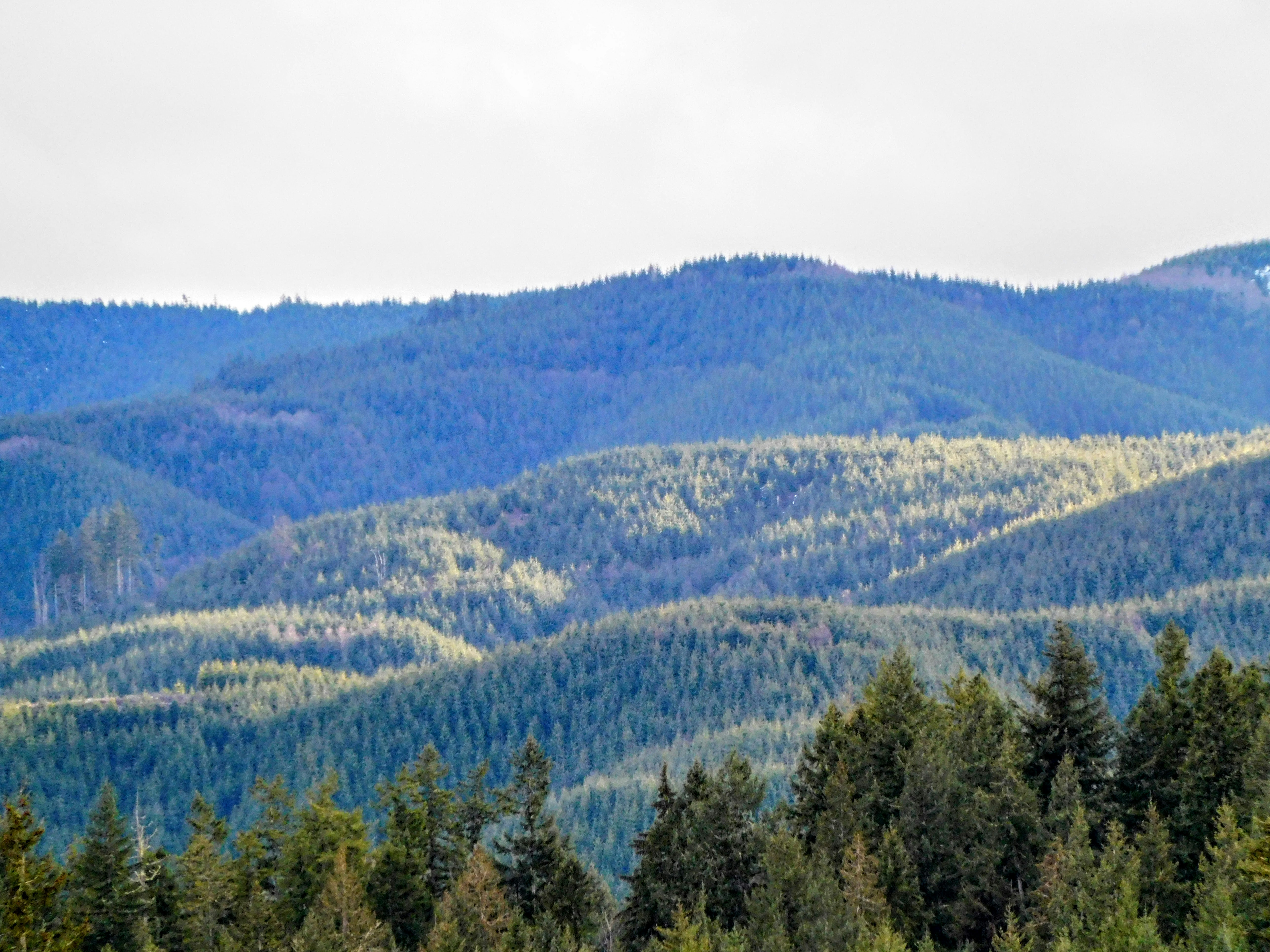 Photo by prphotography262