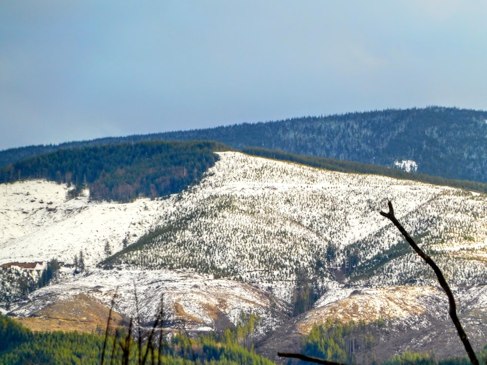 a snow covered mountain with trees in the foreground