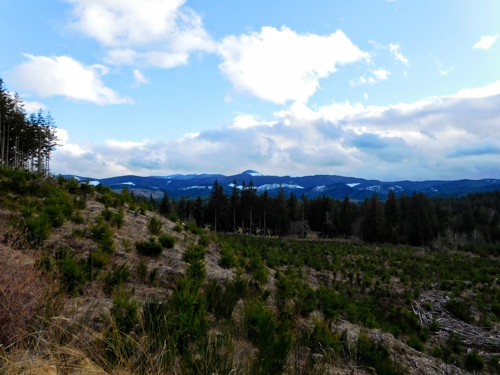 a scenic view of mountains and trees from a hill