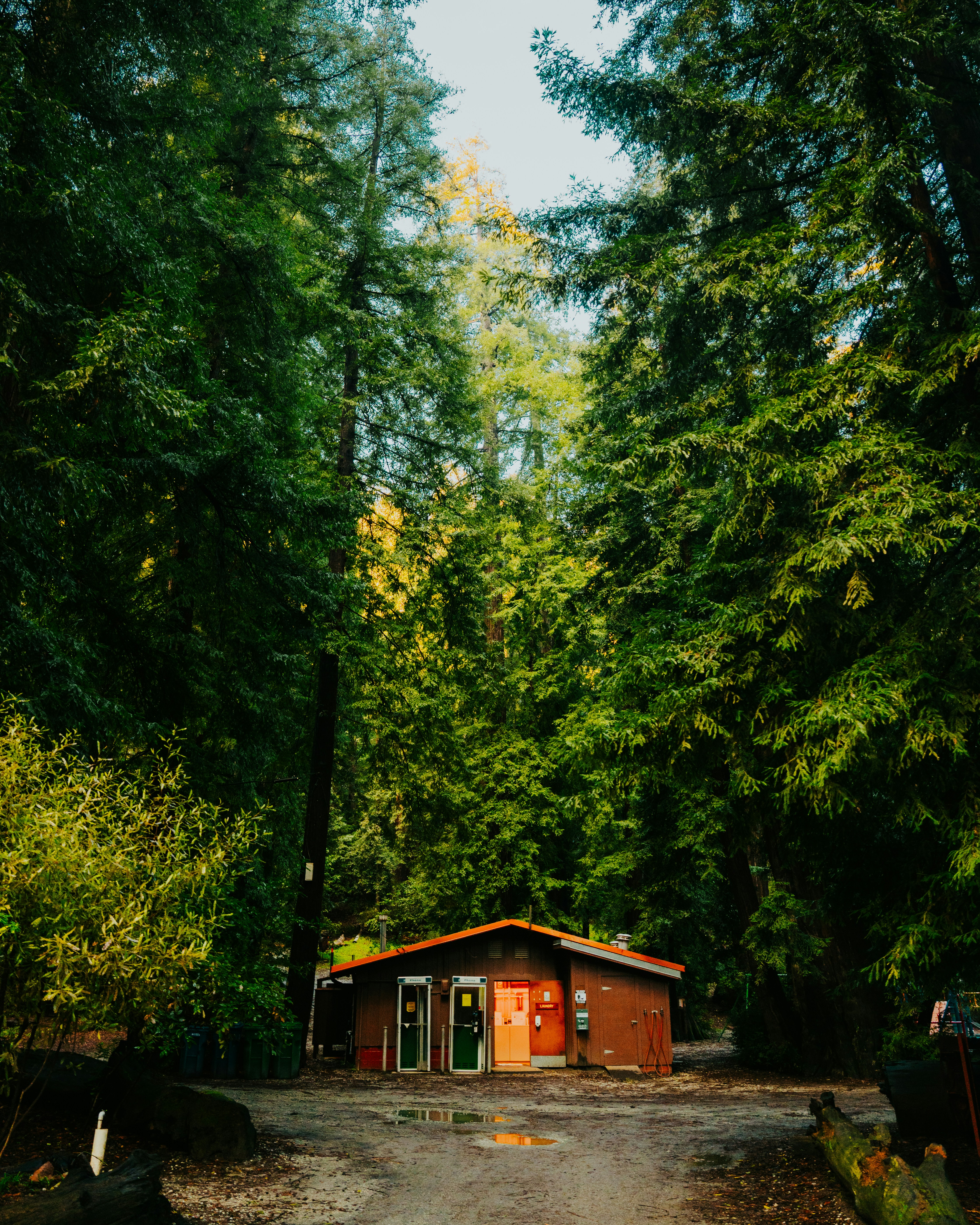 a small cabin in the middle of a forest