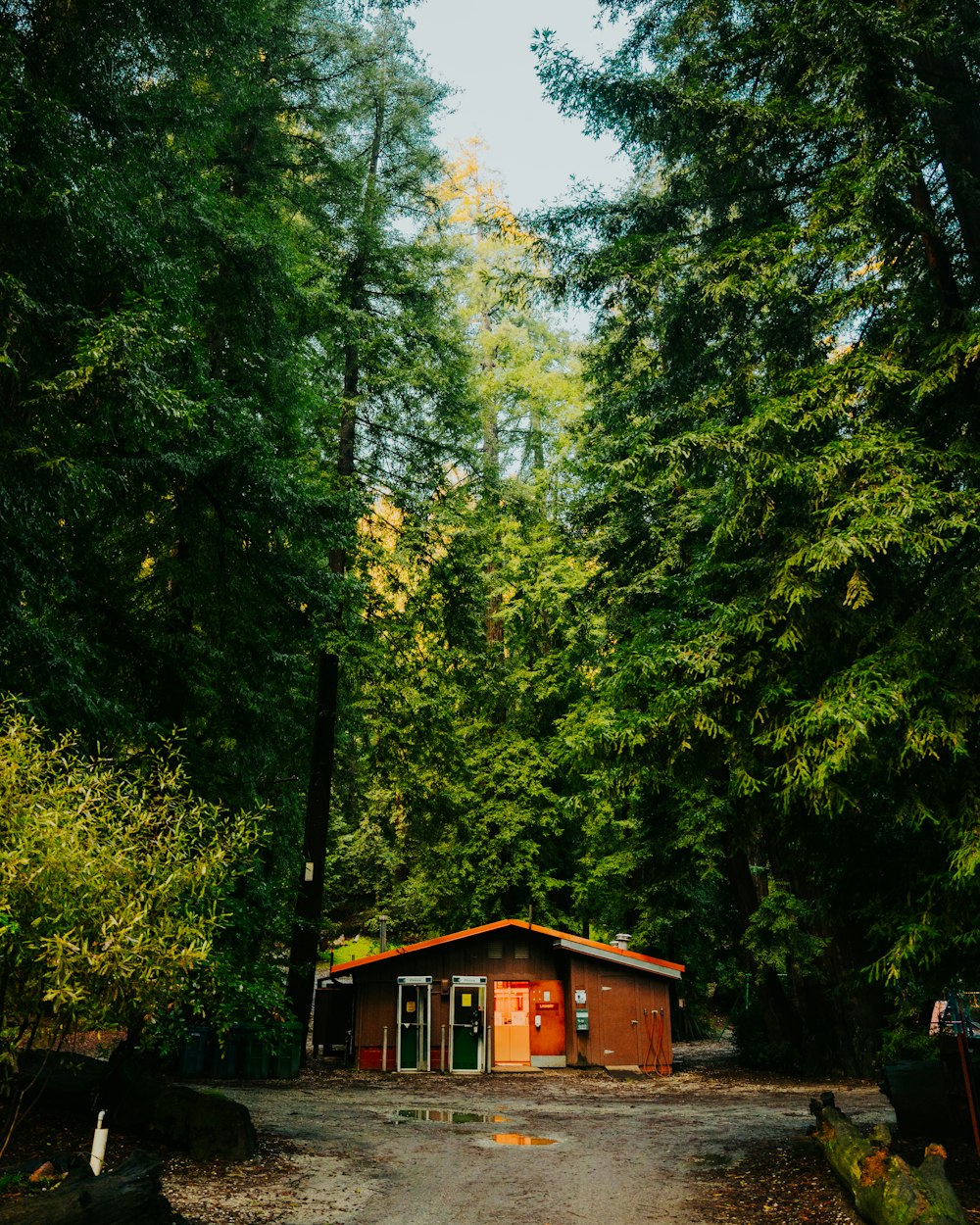 a small cabin in the middle of a forest